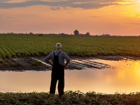 O pedido de recuperação judicial do produtor rural: pessoa física. Uma breve perspectiva da recente visão do Superior Tribunal de Justiça